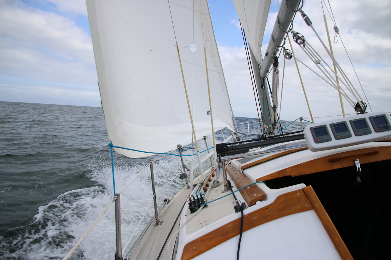 MSSA Fall 2 JackRabbit Race  ~~  