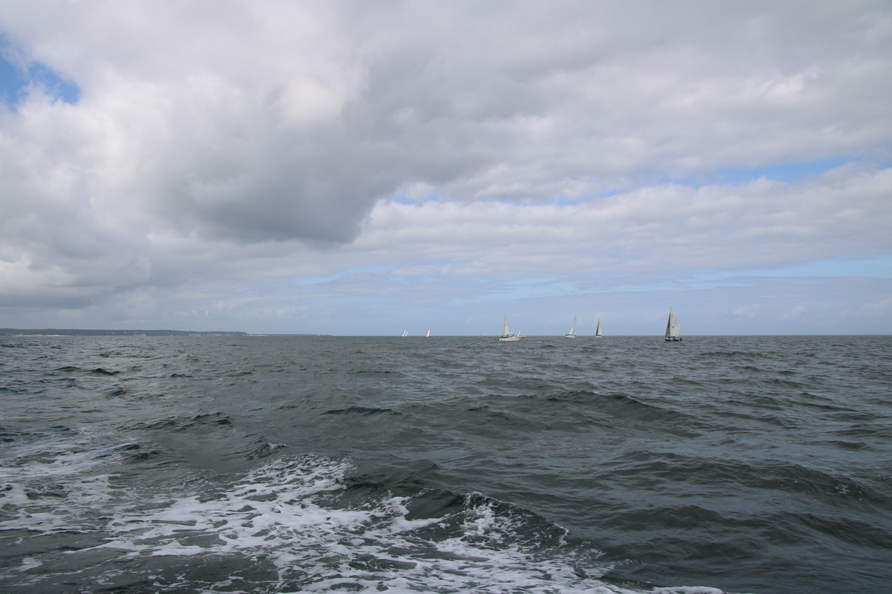 MSSA Fall 2 JackRabbit Race  ~~  