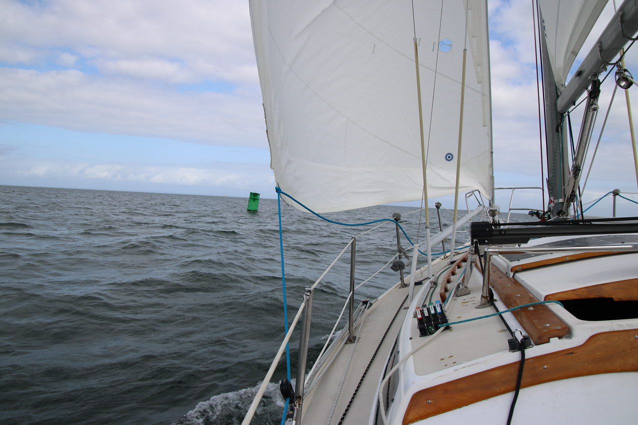 MSSA Fall 2 JackRabbit Race  ~~  