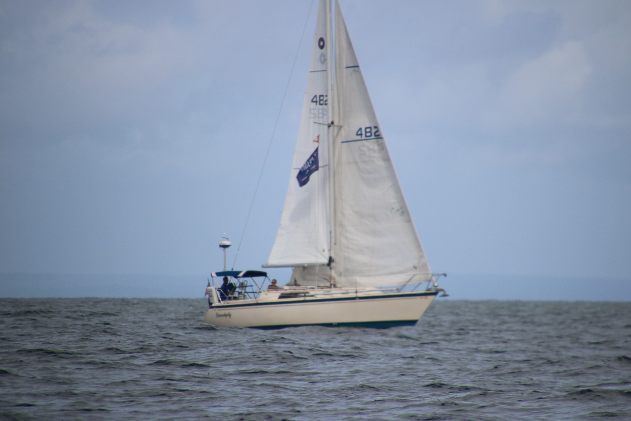 MSSA Fall 2 JackRabbit Race  ~~  