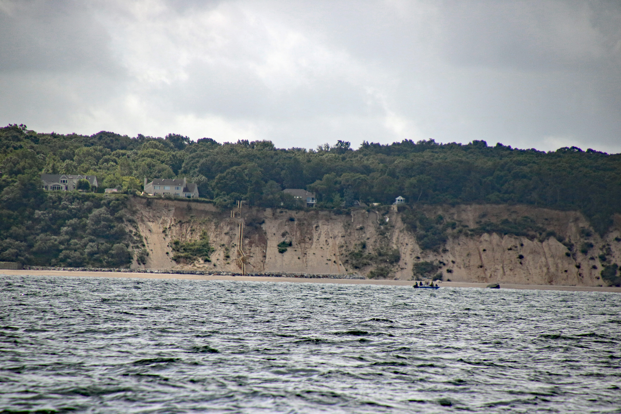 MSSA Fall 2 JackRabbit Race  ~~  