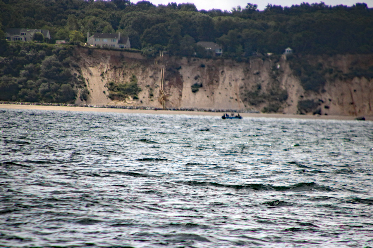 MSSA Fall 2 JackRabbit Race  ~~  