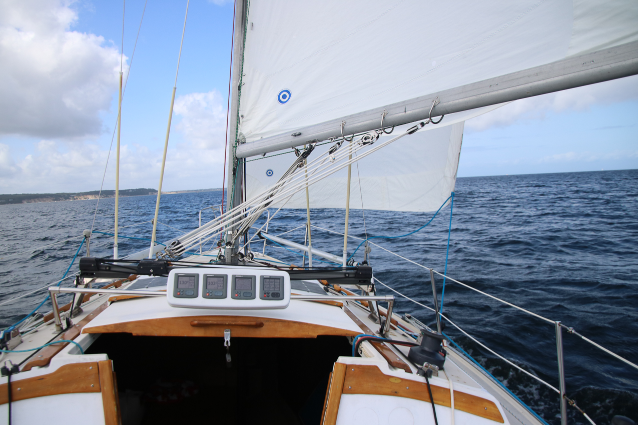 MSSA Fall 2 JackRabbit Race  ~~  