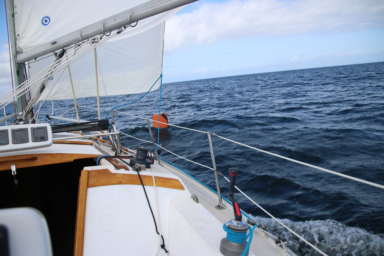 MSSA Fall 2 JackRabbit Race  ~~  