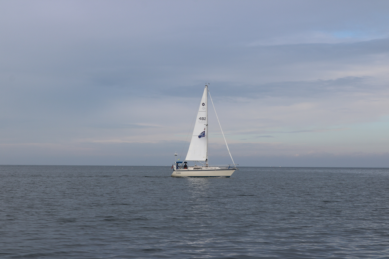 MSSA 39th Annual ACS Regatta  ~~  COVID Edition