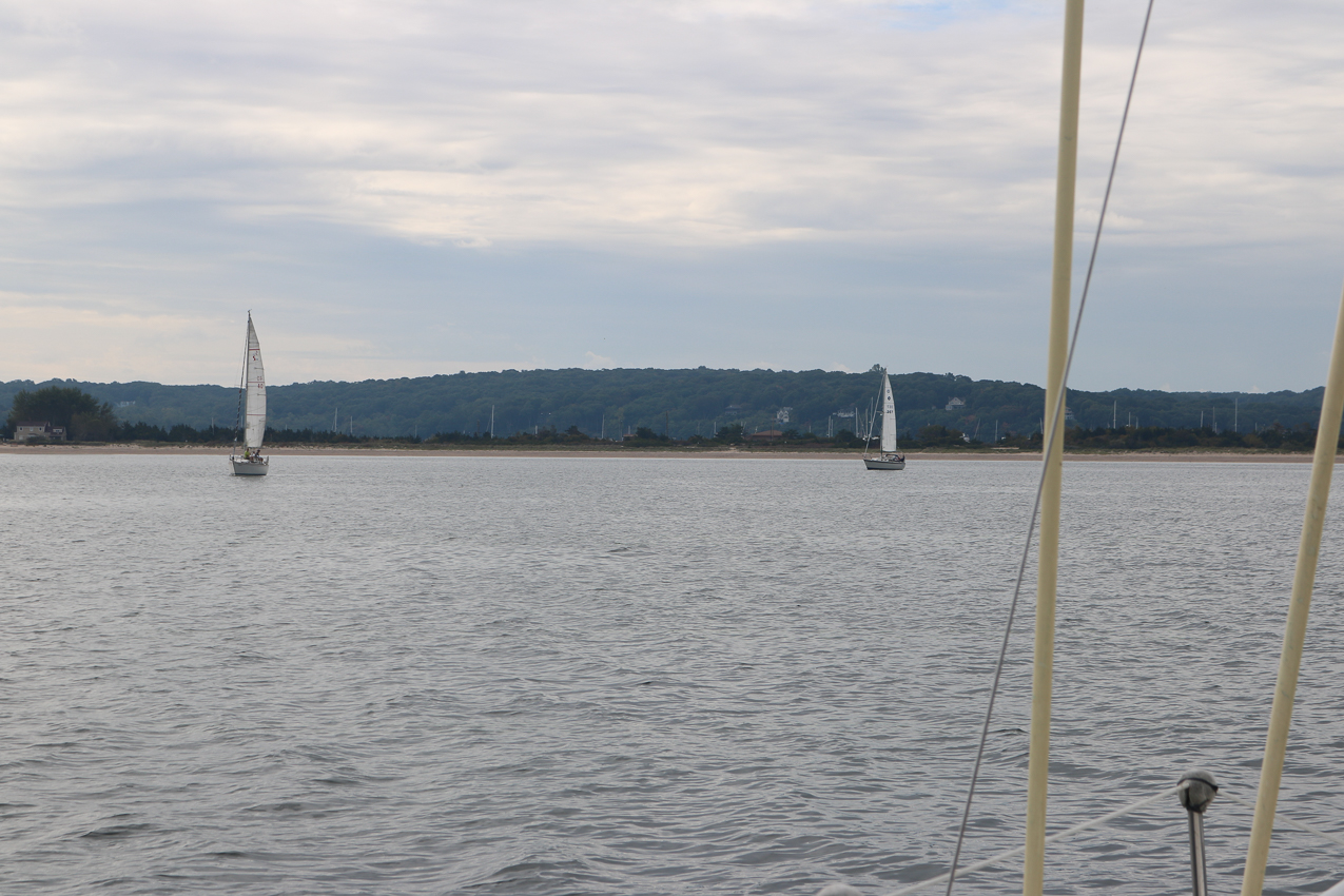 MSSA 39th Annual ACS Regatta  ~~  COVID Edition