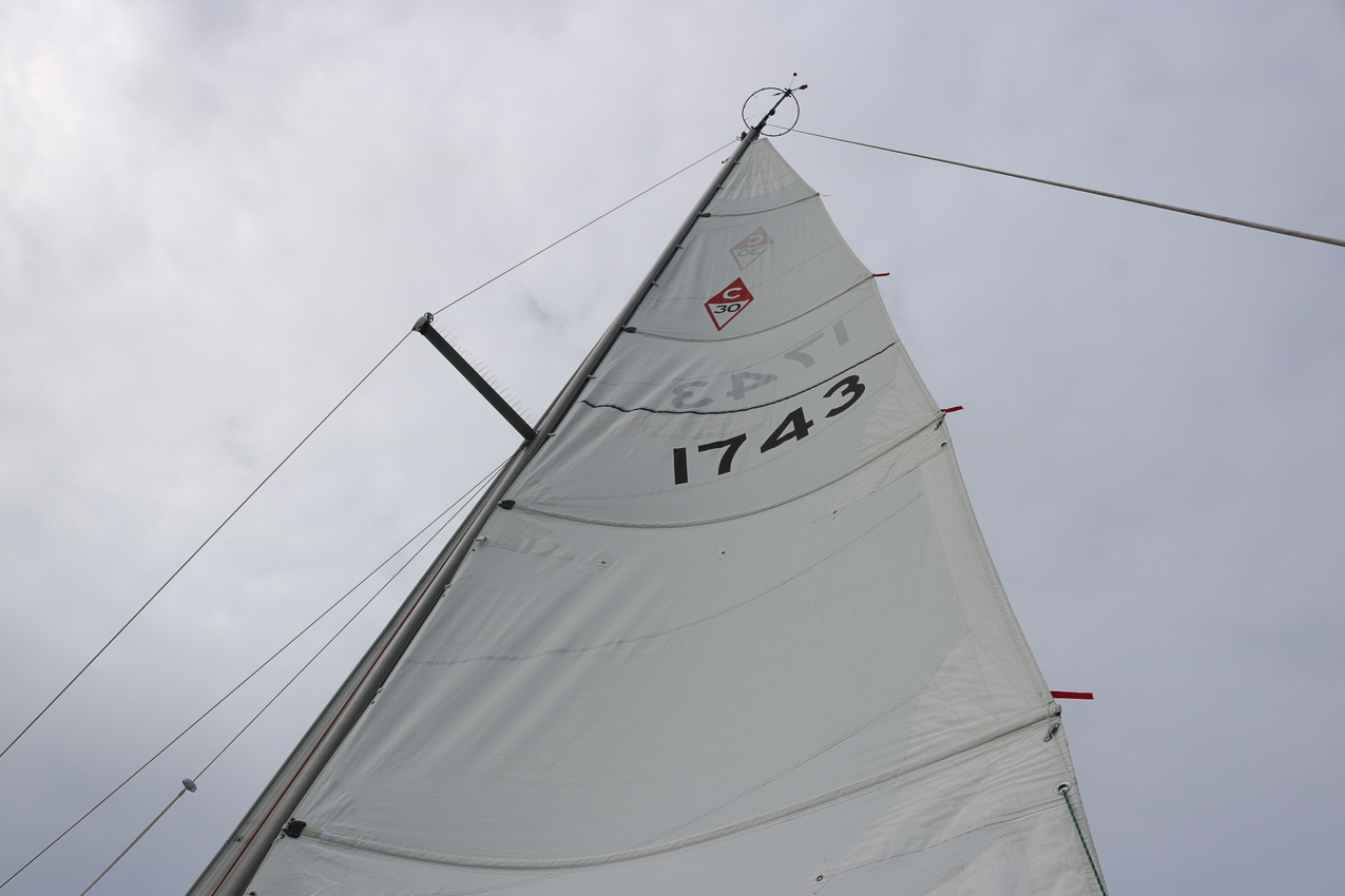 MSSA 39th Annual ACS Regatta  ~~  COVID Edition