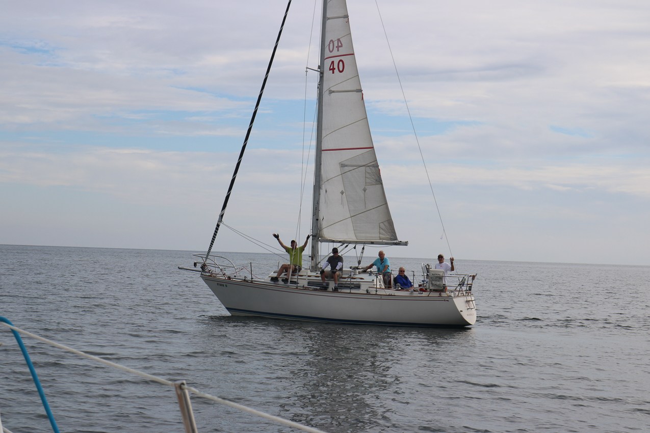 MSSA 39th Annual ACS Regatta  ~~  COVID Edition