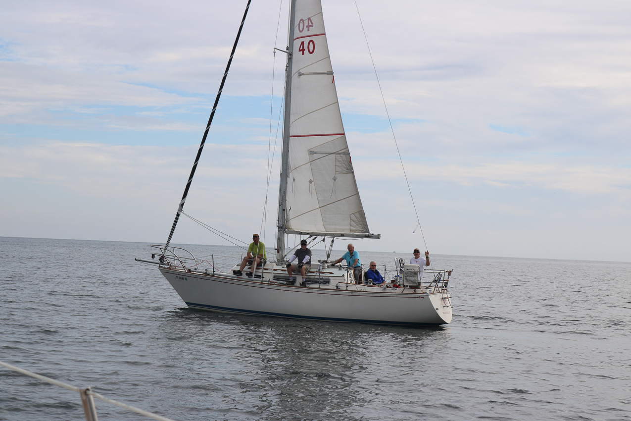 MSSA 39th Annual ACS Regatta  ~~  COVID Edition