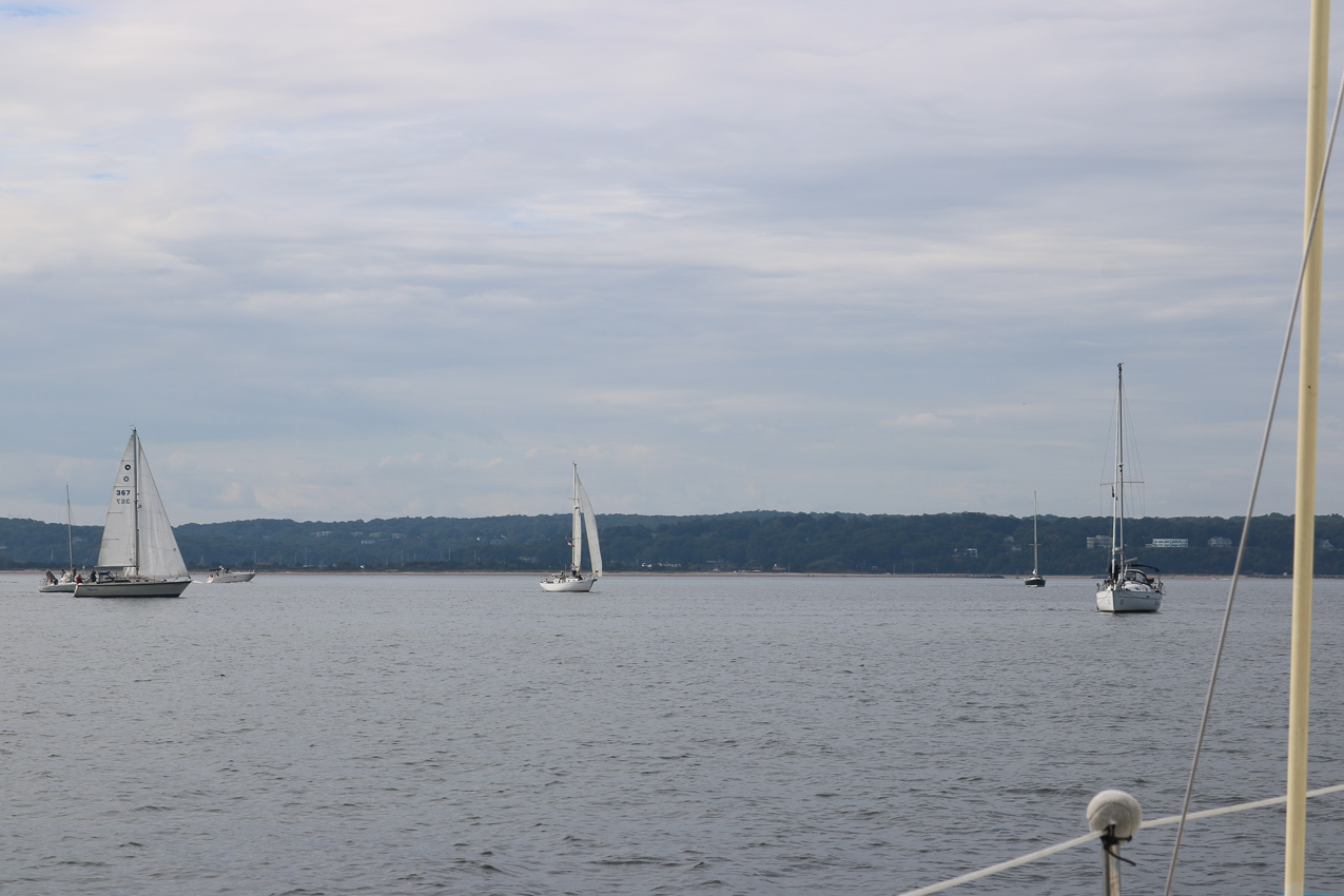 MSSA 39th Annual ACS Regatta  ~~  COVID Edition