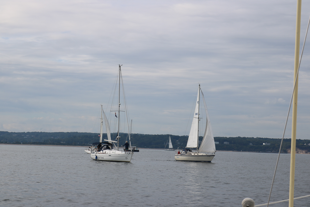 MSSA 39th Annual ACS Regatta  ~~  COVID Edition