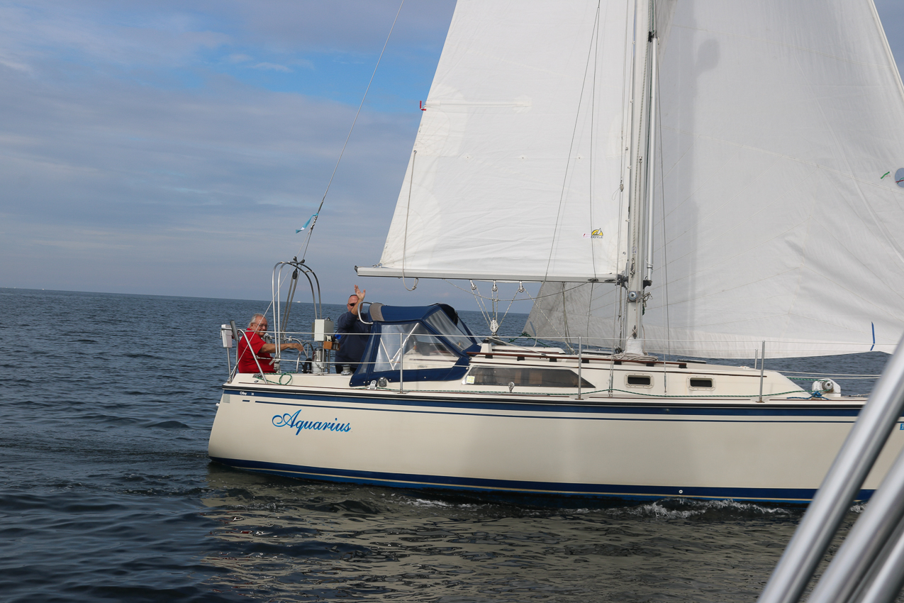 MSSA 39th Annual ACS Regatta  ~~  COVID Edition