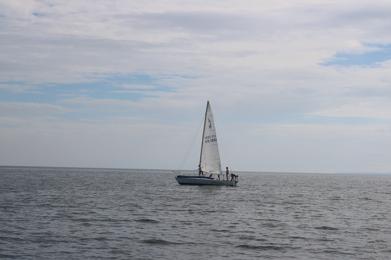 MSSA 39th Annual ACS Regatta  ~~  COVID Edition