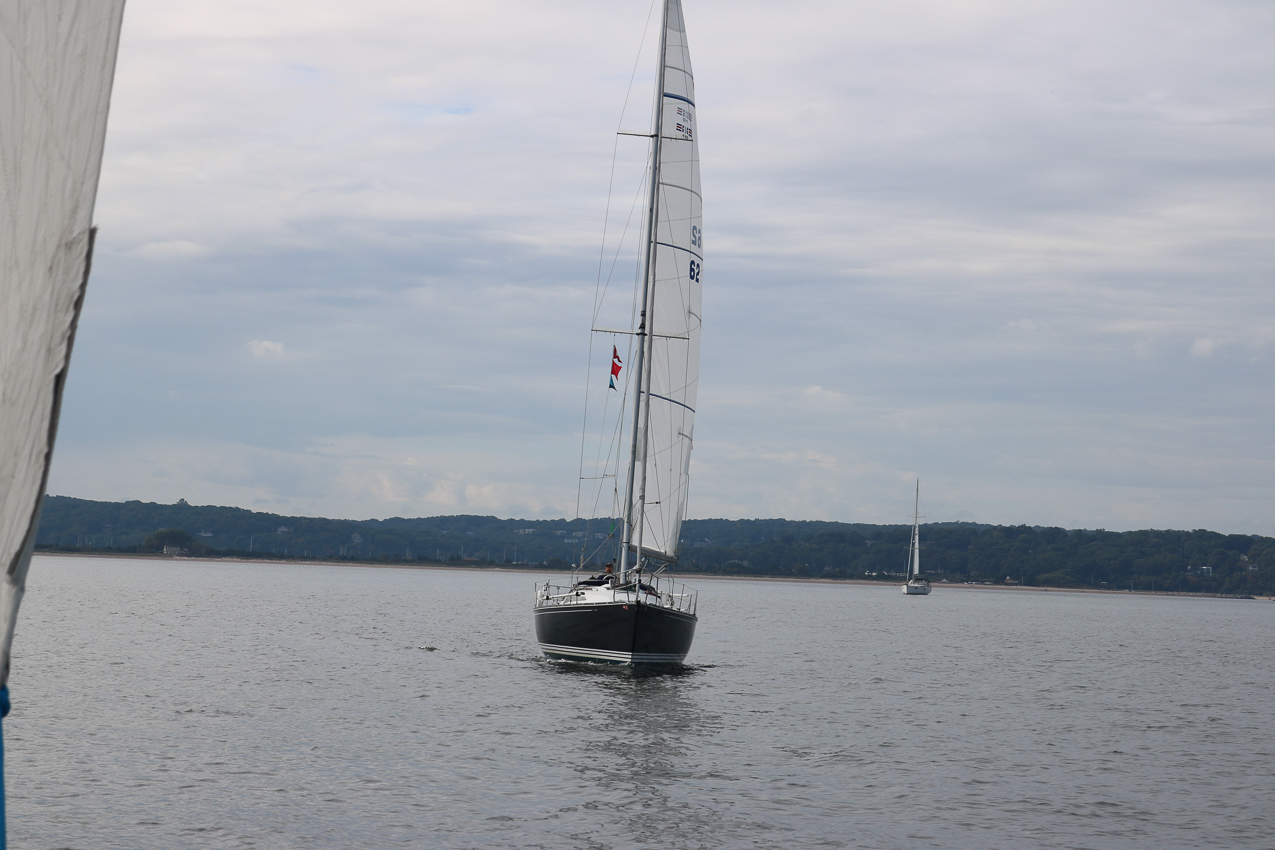 MSSA 39th Annual ACS Regatta  ~~  COVID Edition
