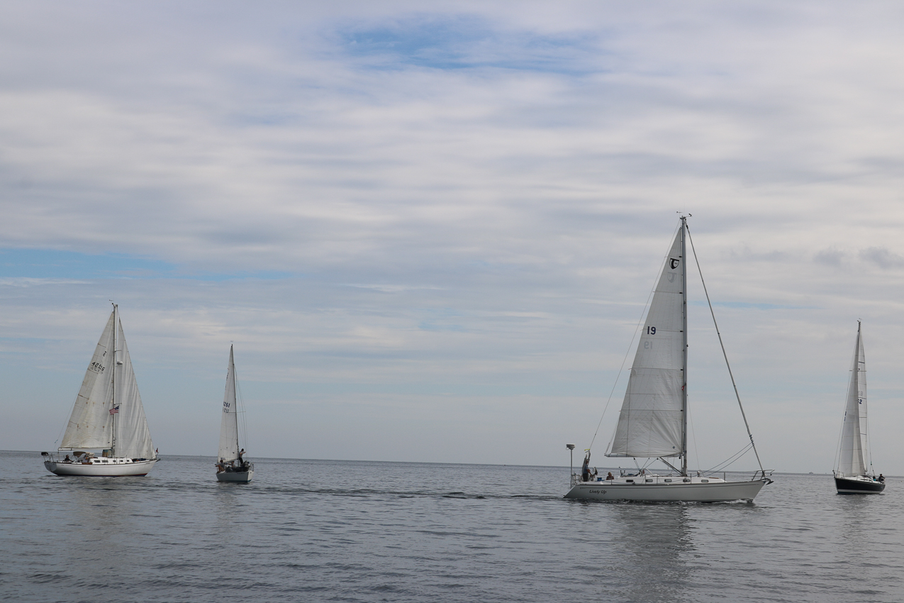 MSSA 39th Annual ACS Regatta  ~~  COVID Edition