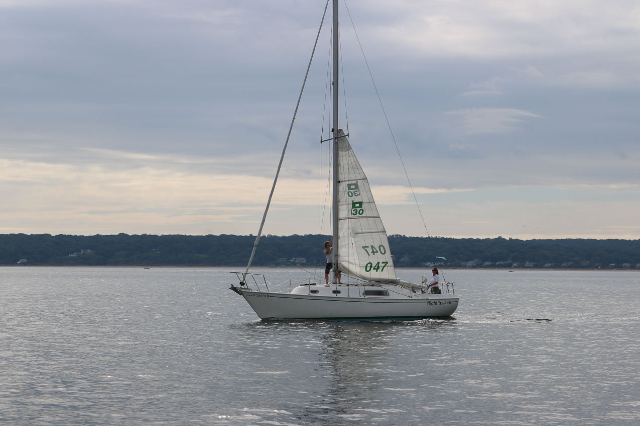 MSSA 39th Annual ACS Regatta  ~~  COVID Edition