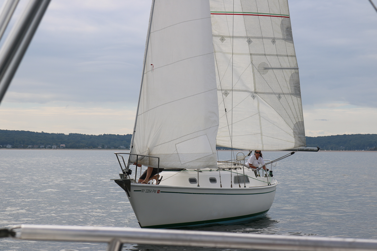 MSSA 39th Annual ACS Regatta  ~~  COVID Edition