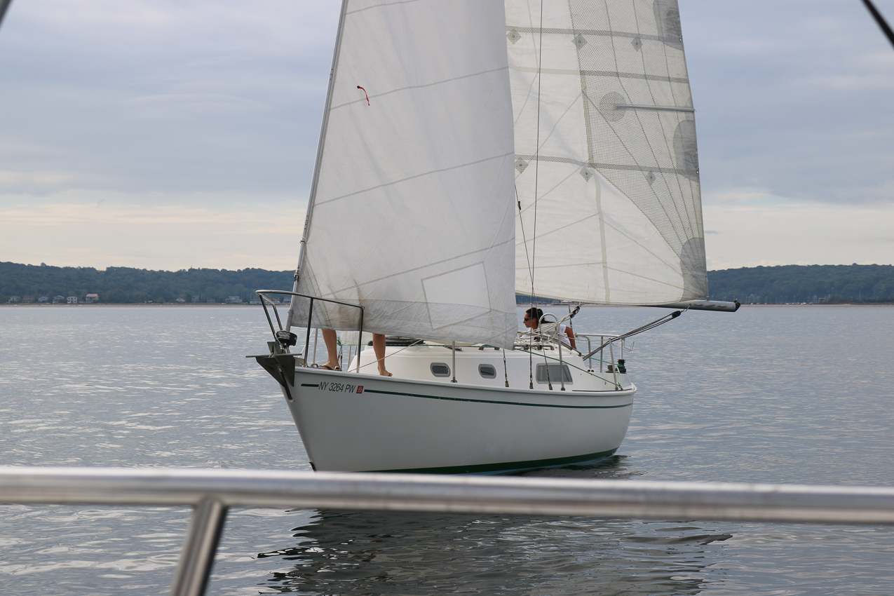 MSSA 39th Annual ACS Regatta  ~~  COVID Edition