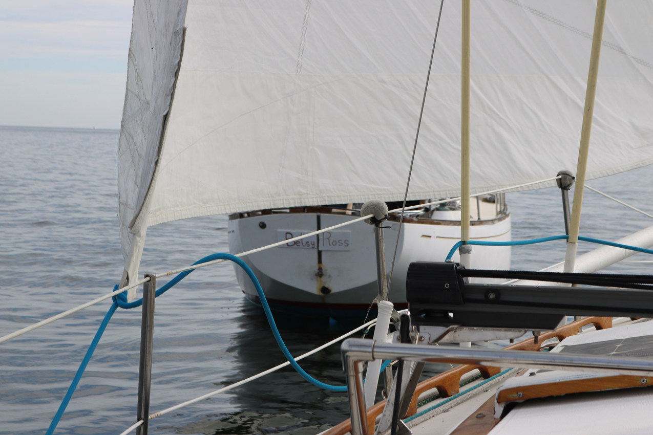 MSSA 39th Annual ACS Regatta  ~~  COVID Edition