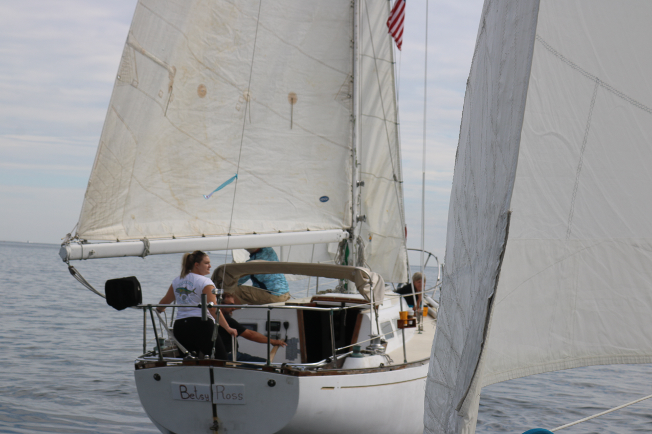 MSSA 39th Annual ACS Regatta  ~~  COVID Edition