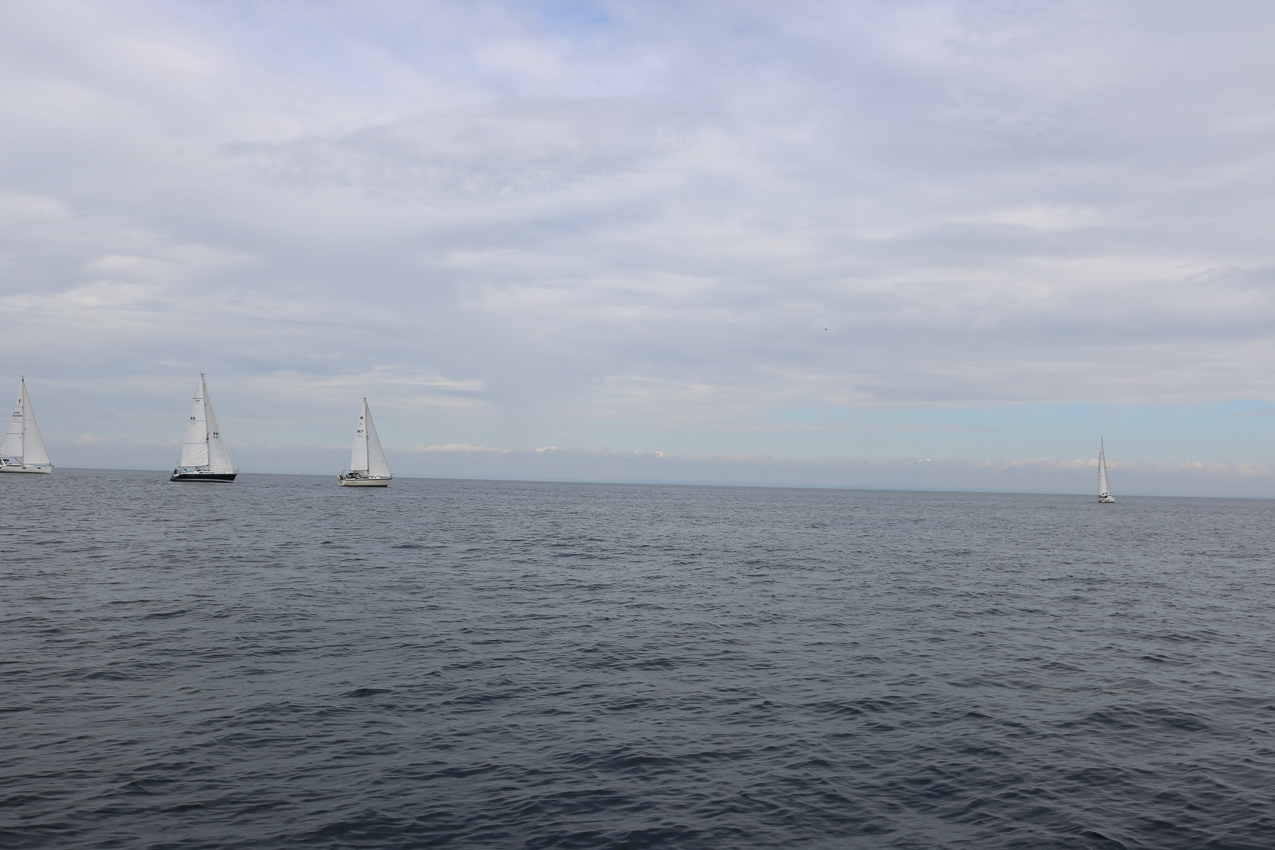 MSSA 39th Annual ACS Regatta  ~~  COVID Edition