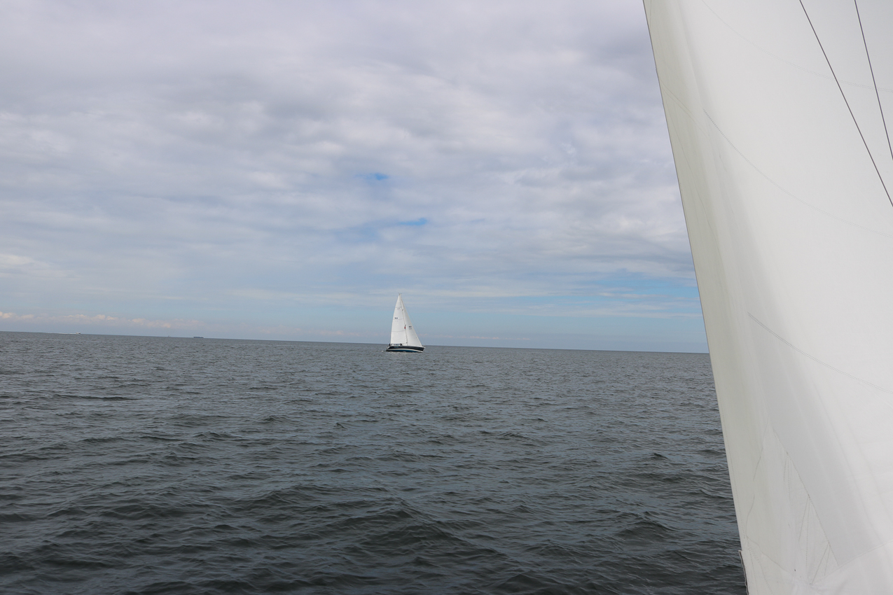 MSSA 39th Annual ACS Regatta  ~~  COVID Edition