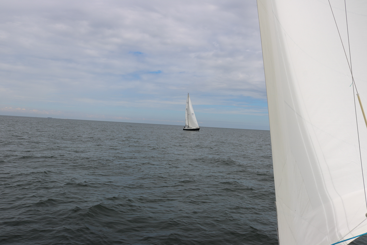 MSSA 39th Annual ACS Regatta  ~~  COVID Edition