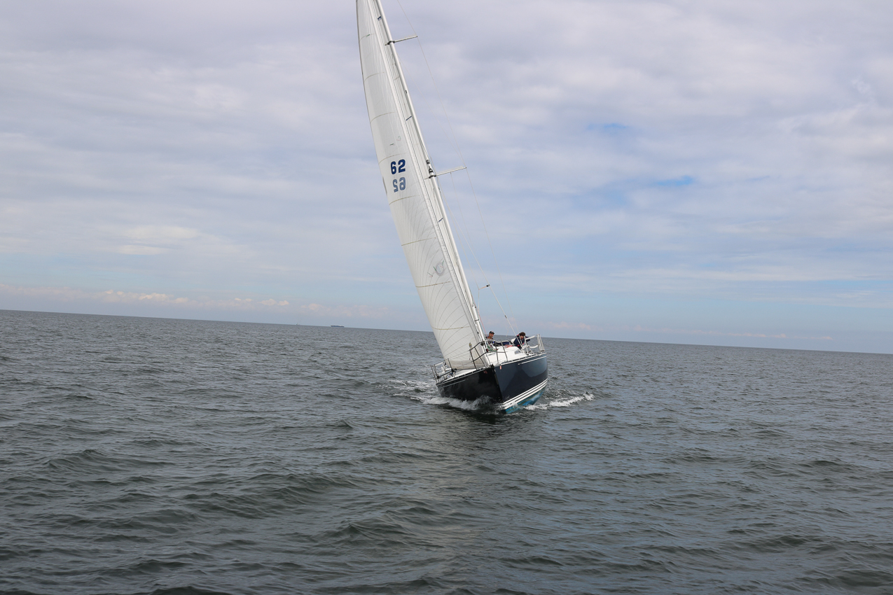 MSSA 39th Annual ACS Regatta  ~~  COVID Edition