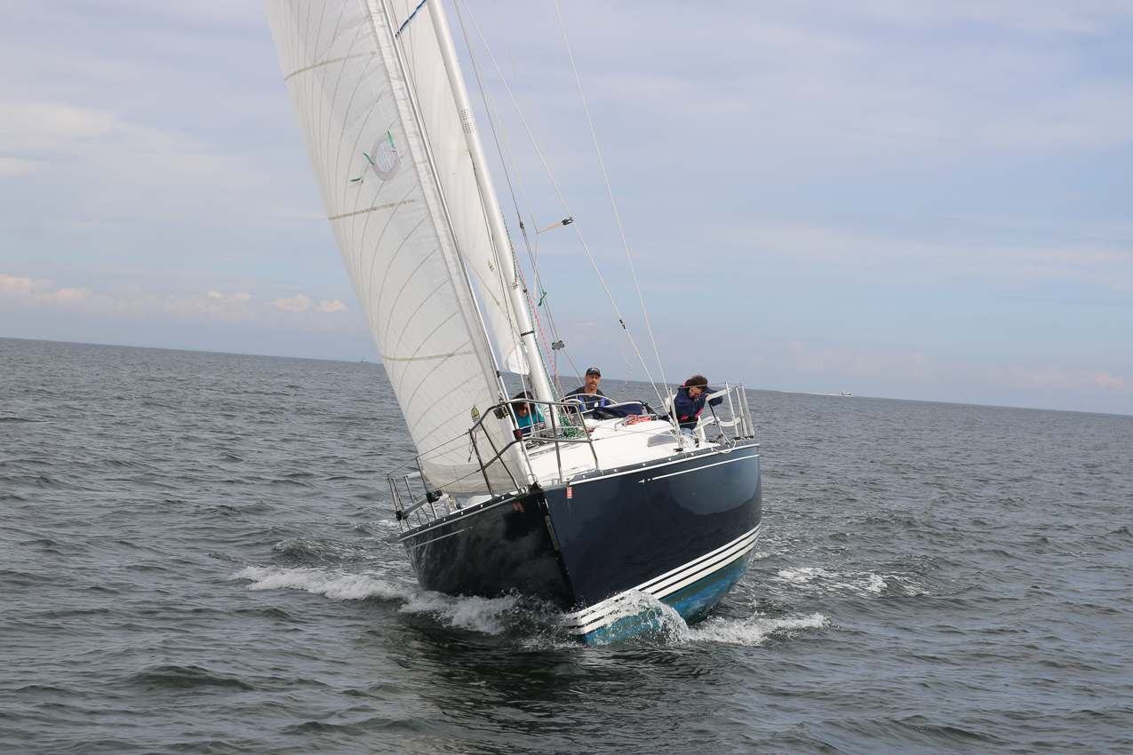 MSSA 39th Annual ACS Regatta  ~~  COVID Edition