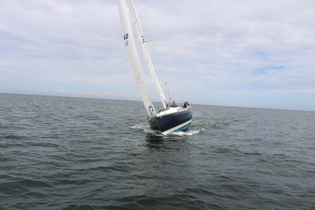 MSSA 39th Annual ACS Regatta  ~~  COVID Edition