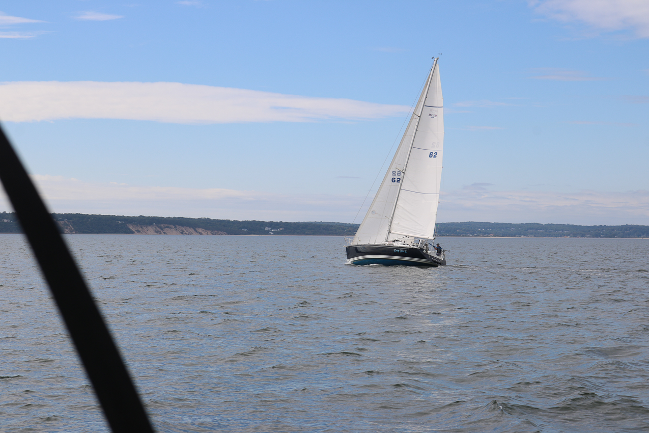 MSSA 39th Annual ACS Regatta  ~~  COVID Edition