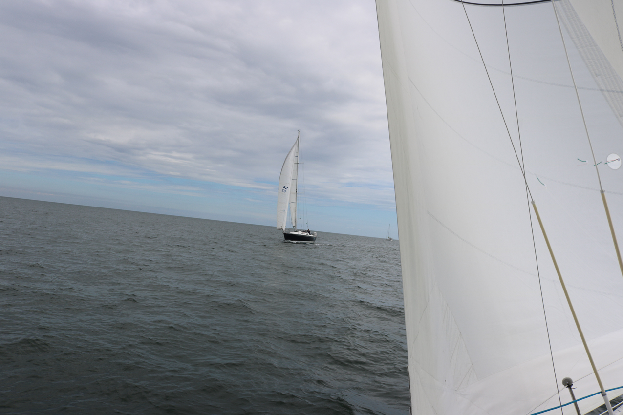 MSSA 39th Annual ACS Regatta  ~~  COVID Edition