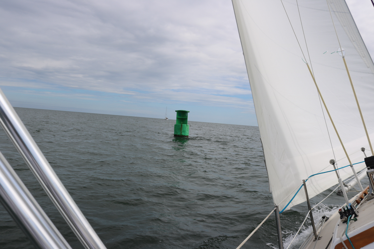 MSSA 39th Annual ACS Regatta  ~~  COVID Edition