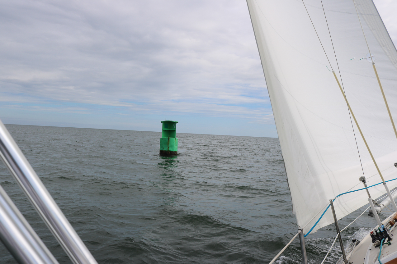 MSSA 39th Annual ACS Regatta  ~~  COVID Edition