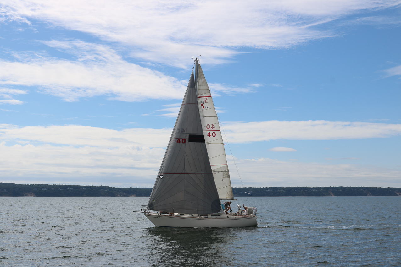 MSSA 39th Annual ACS Regatta  ~~  COVID Edition
