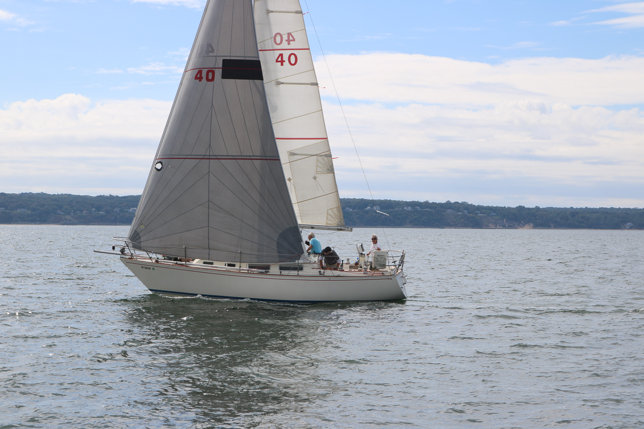 MSSA 39th Annual ACS Regatta  ~~  COVID Edition