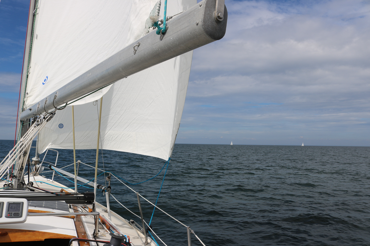 MSSA 39th Annual ACS Regatta  ~~  COVID Edition