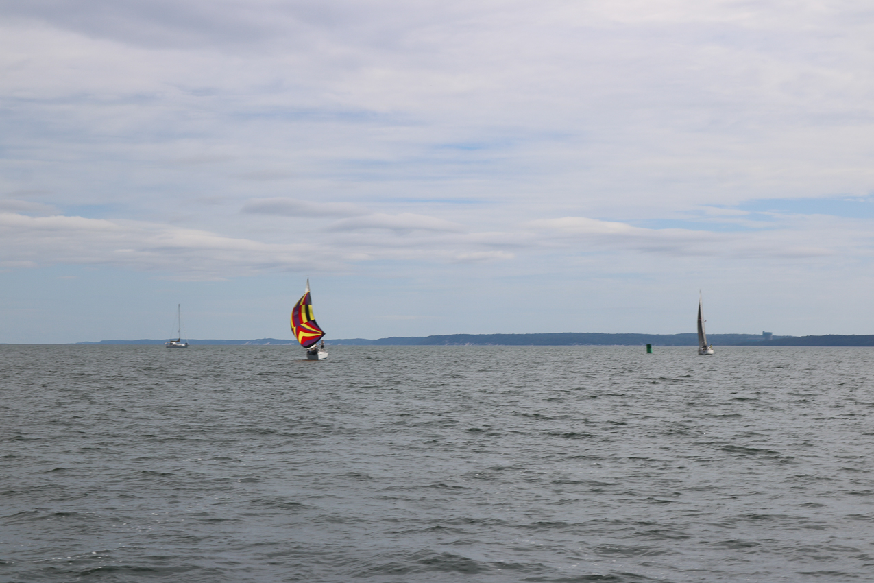 MSSA 39th Annual ACS Regatta  ~~  COVID Edition