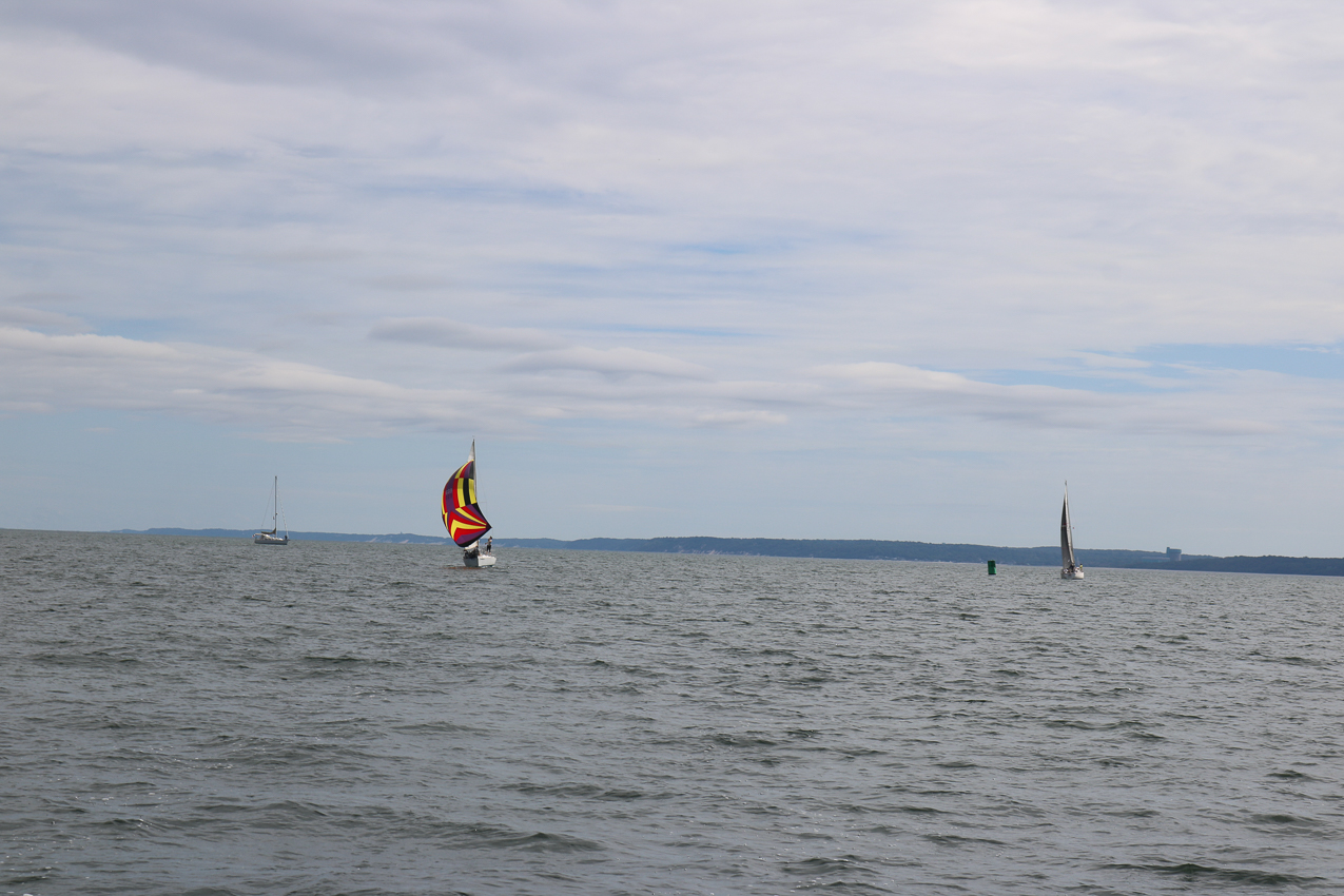 MSSA 39th Annual ACS Regatta  ~~  COVID Edition