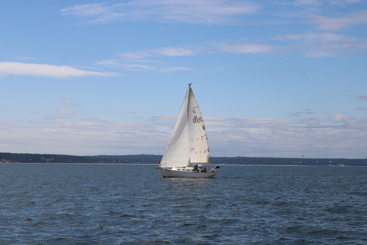 MSSA 39th Annual ACS Regatta  ~~  COVID Edition