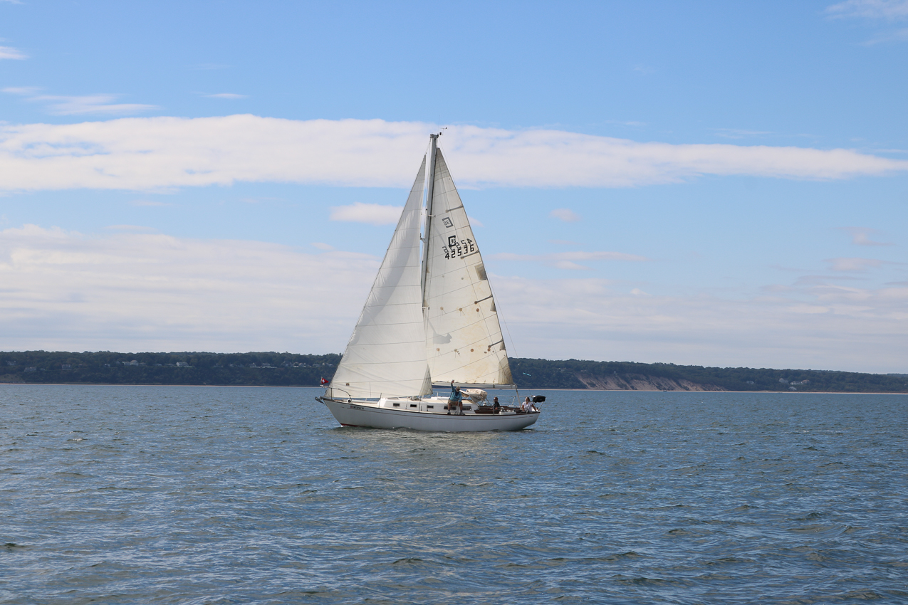 MSSA 39th Annual ACS Regatta  ~~  COVID Edition