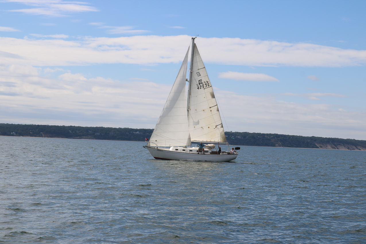 MSSA 39th Annual ACS Regatta  ~~  COVID Edition
