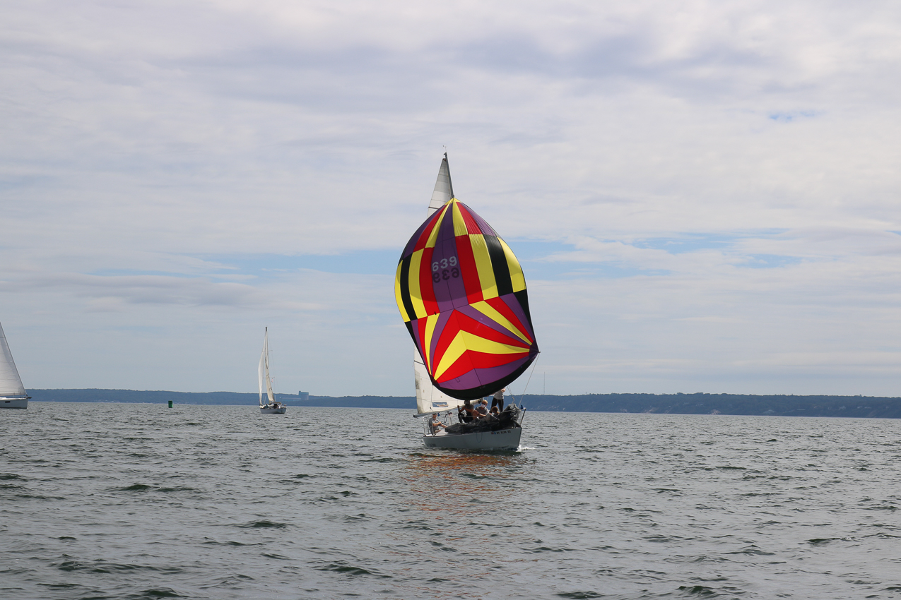 MSSA 39th Annual ACS Regatta  ~~  COVID Edition