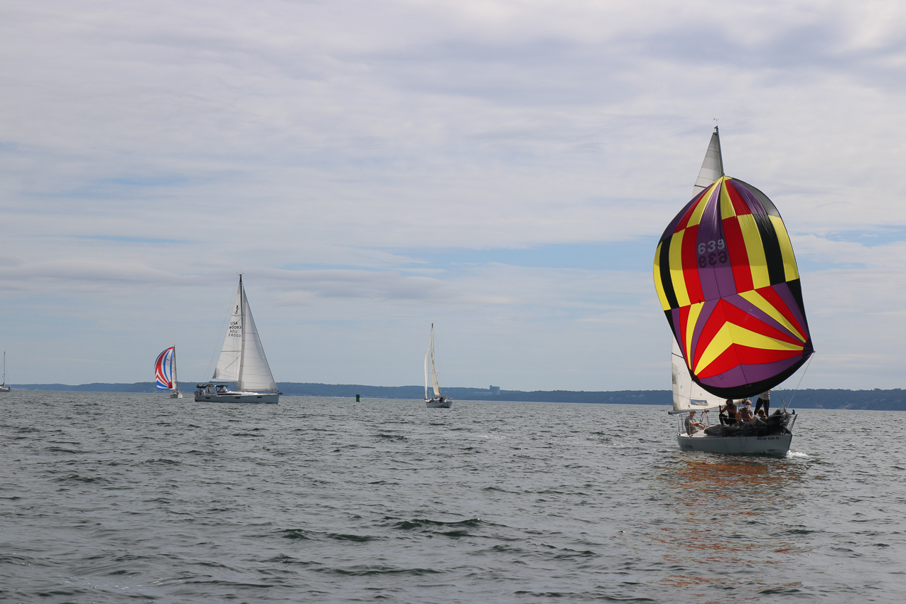MSSA 39th Annual ACS Regatta  ~~  COVID Edition