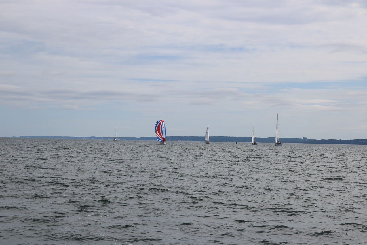 MSSA 39th Annual ACS Regatta  ~~  COVID Edition