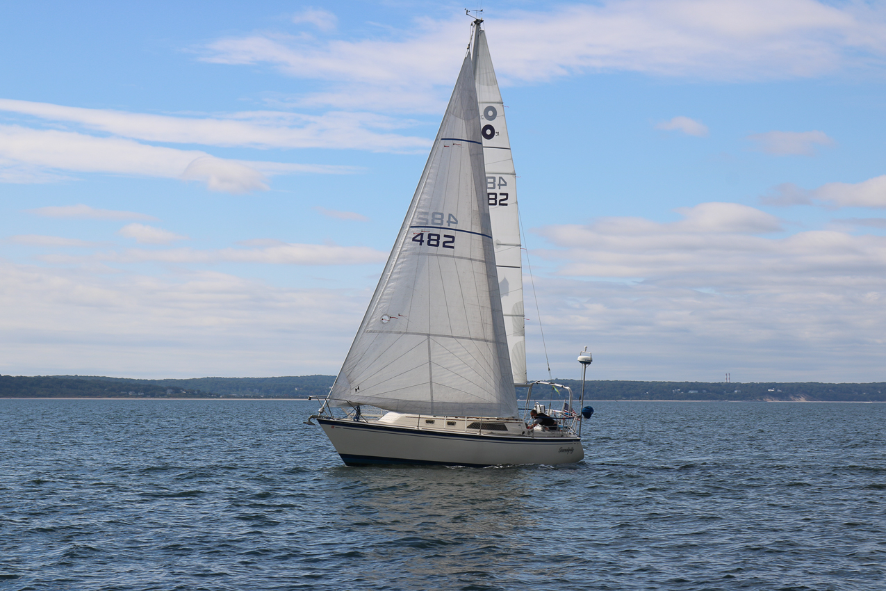 MSSA 39th Annual ACS Regatta  ~~  COVID Edition