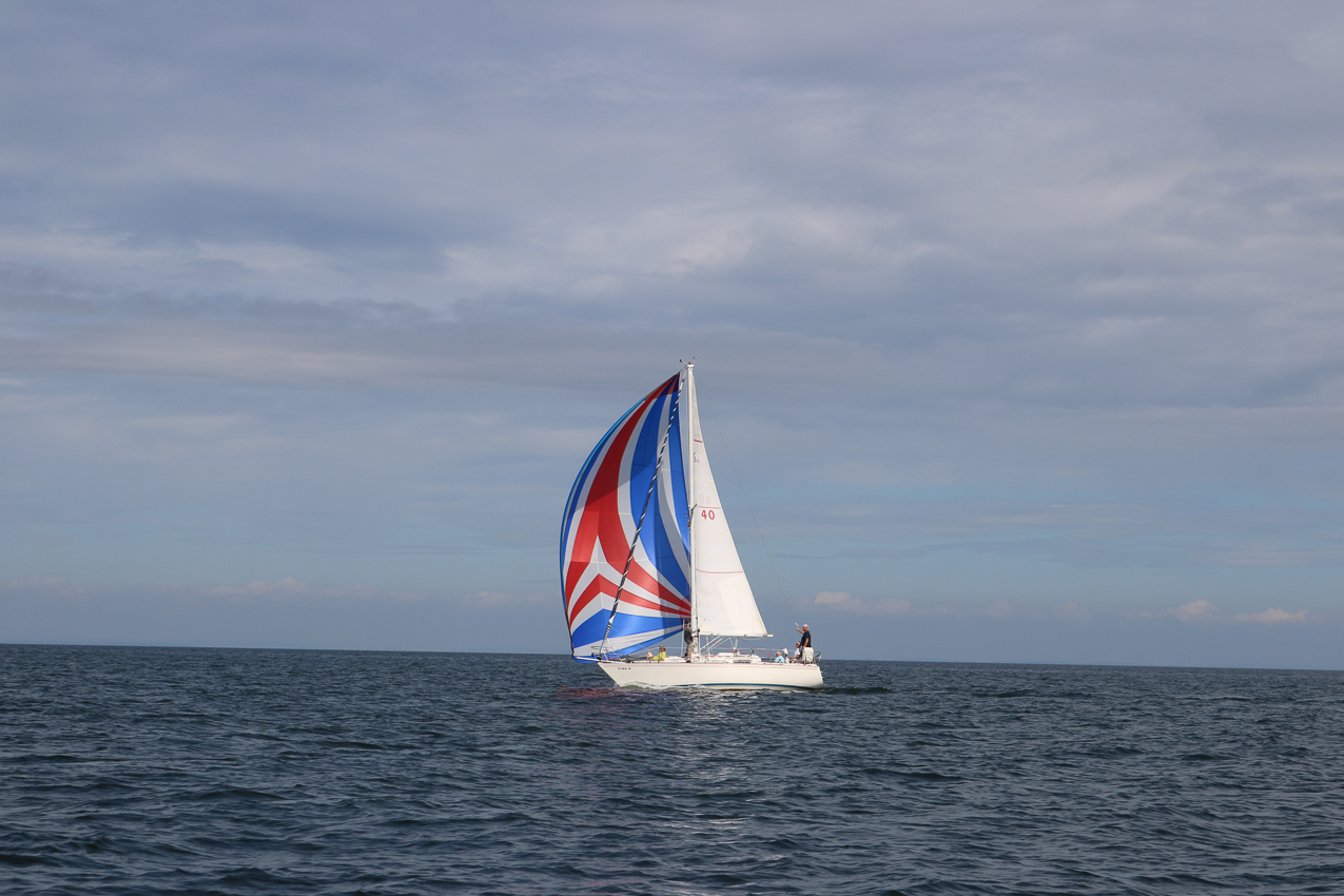 MSSA 39th Annual ACS Regatta  ~~  COVID Edition