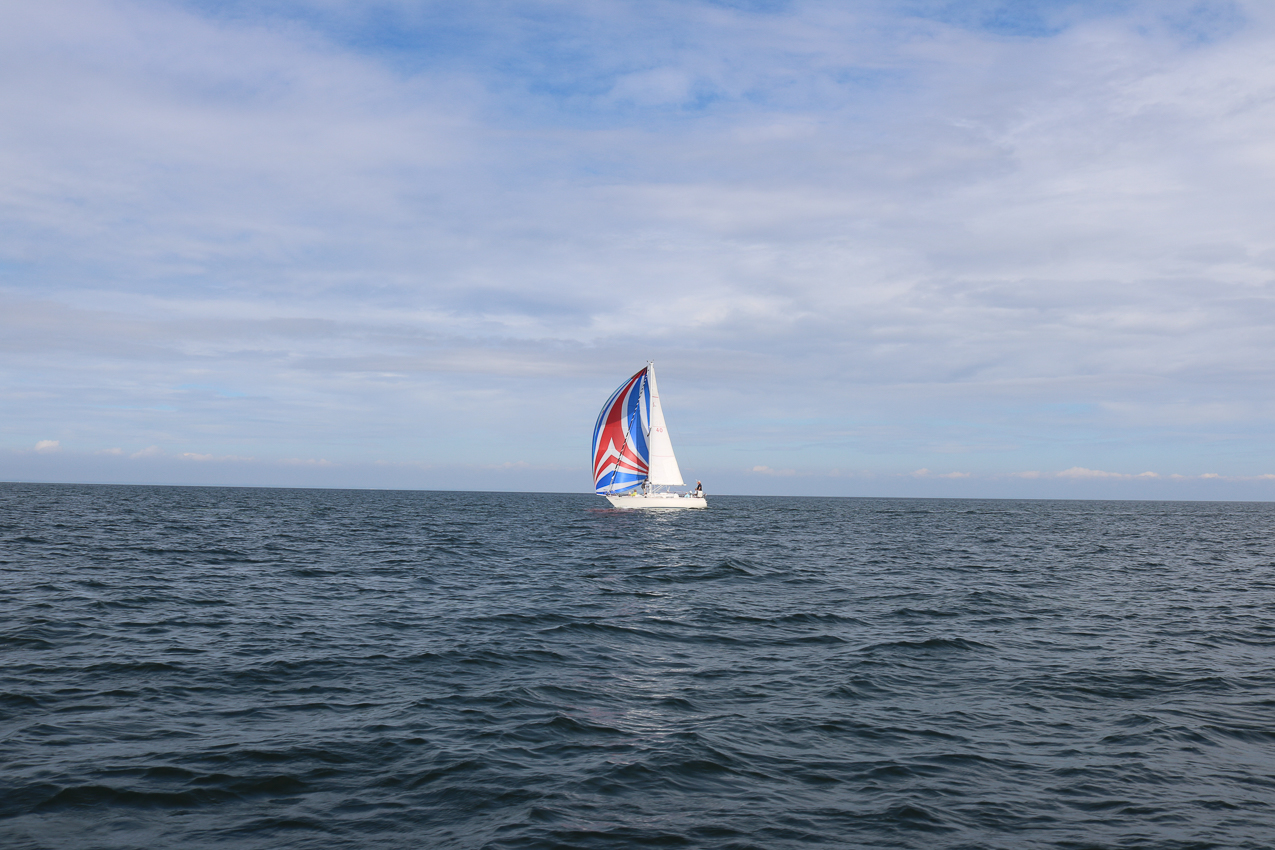 MSSA 39th Annual ACS Regatta  ~~  COVID Edition