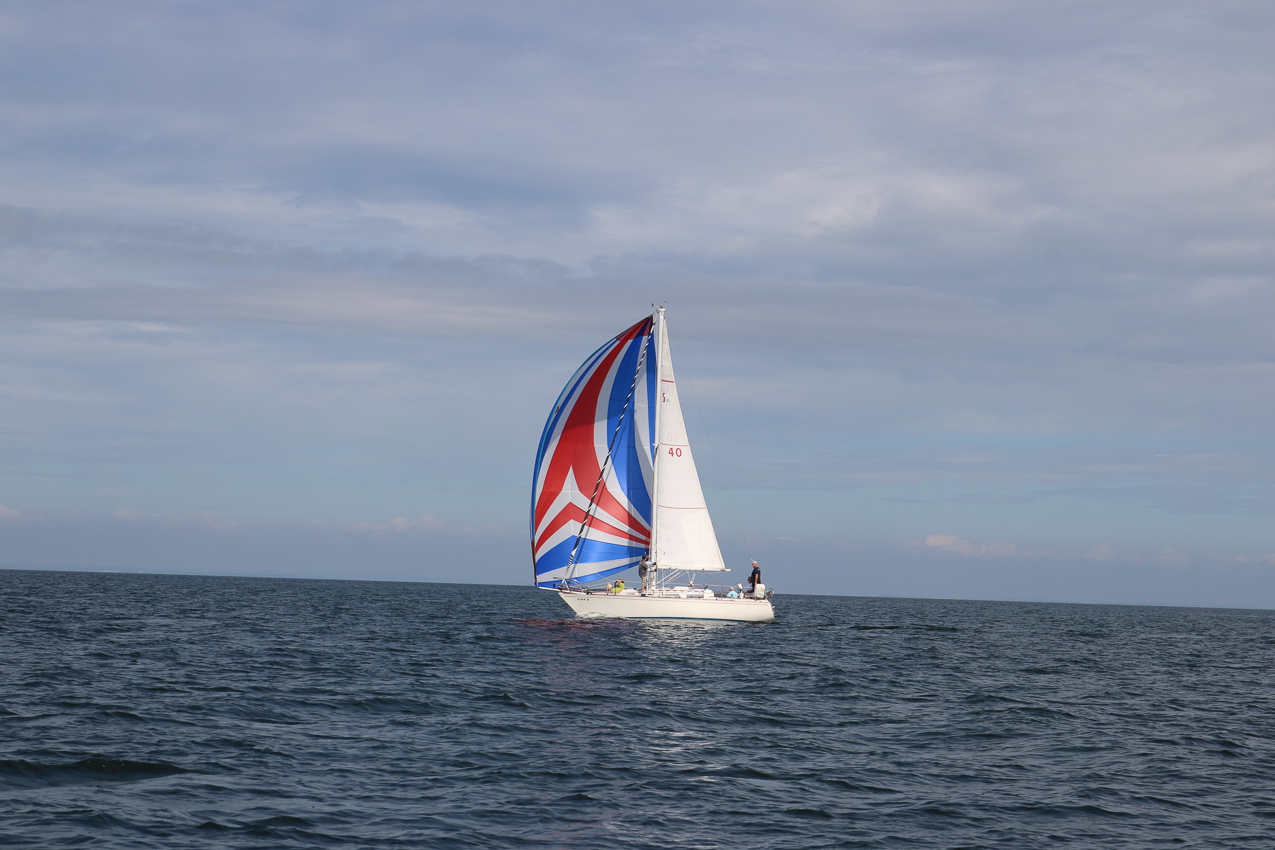 MSSA 39th Annual ACS Regatta  ~~  COVID Edition