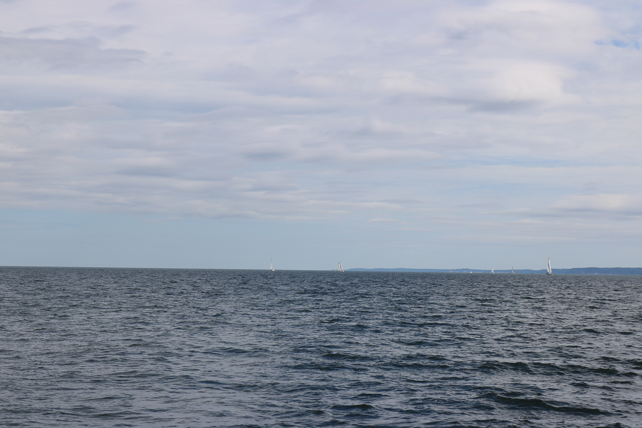 MSSA 39th Annual ACS Regatta  ~~  COVID Edition